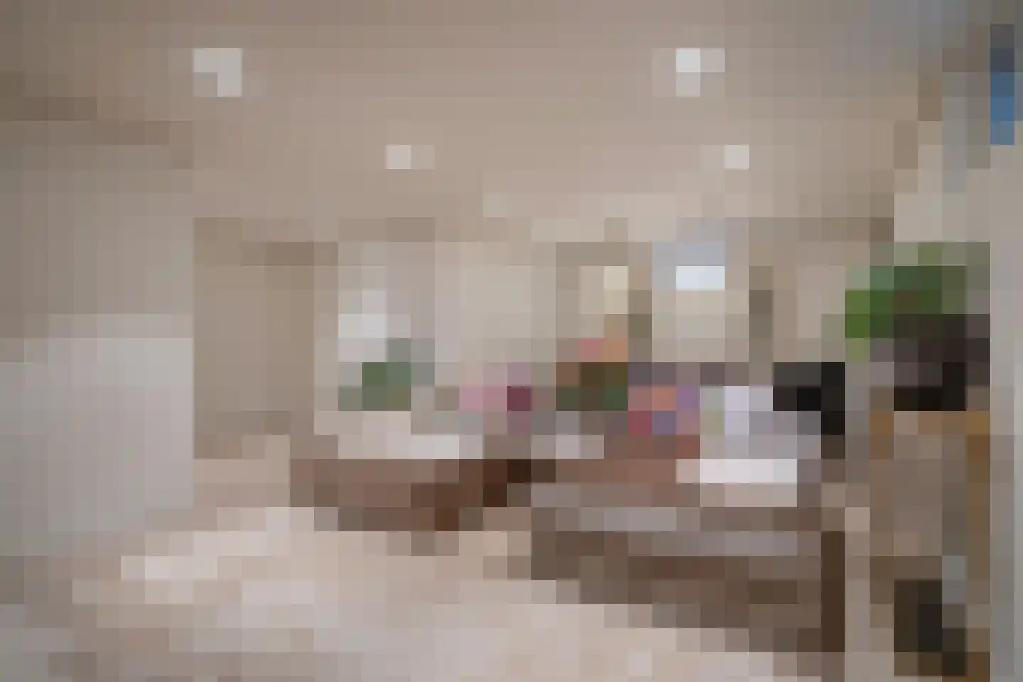 Abtsregt 6 Delft thumbnail 67