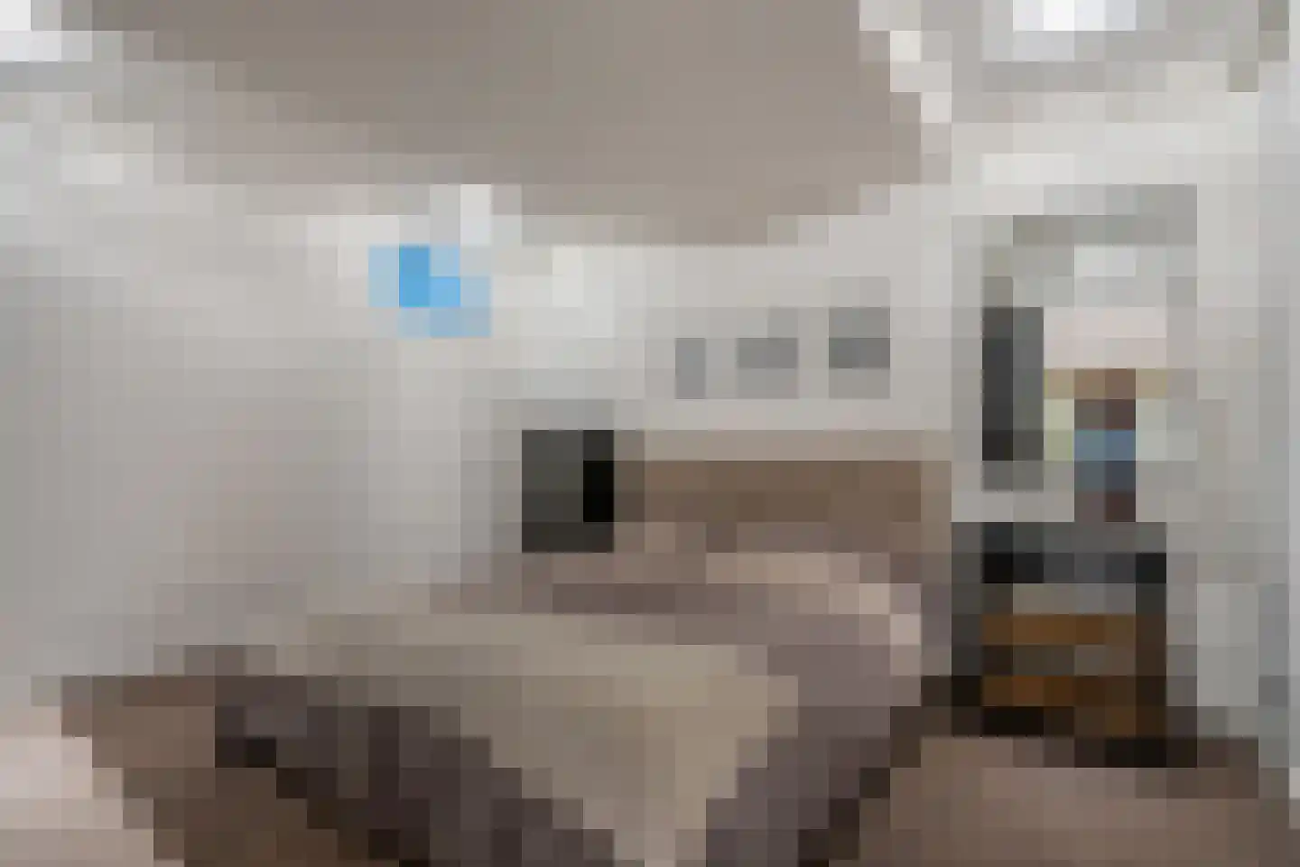 Abtsregt 6 Delft thumbnail 73