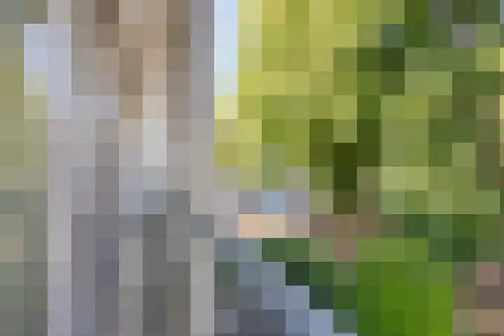 Abtstraat 1 C Maastricht thumbnail 12