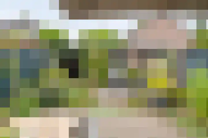 Abtstraat 28 Veldhoven thumbnail 25