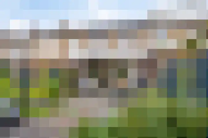 Abtstraat 28 Veldhoven thumbnail 28