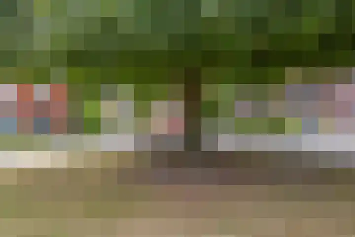 Abtstraat 28 Veldhoven thumbnail 32