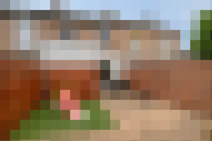 Abtstraat 3 Veldhoven thumbnail 29