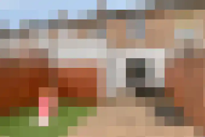 Abtstraat 3 Veldhoven thumbnail 30