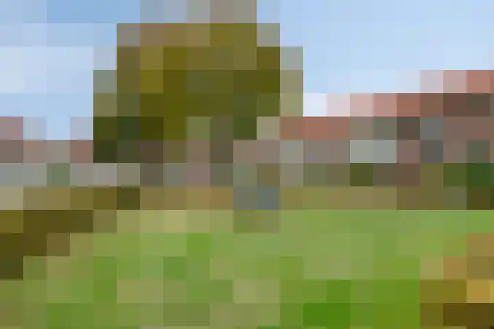 Abtstraat 3 Veldhoven thumbnail 34