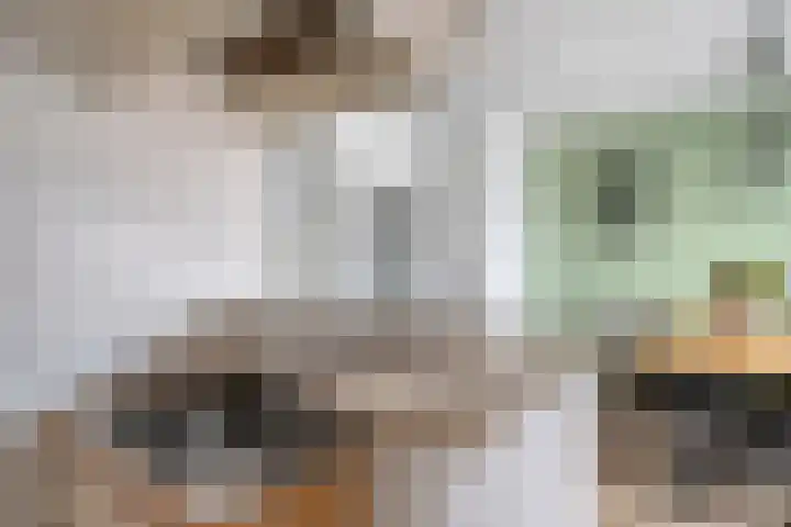 Abtstraat 3 Veldhoven thumbnail 9