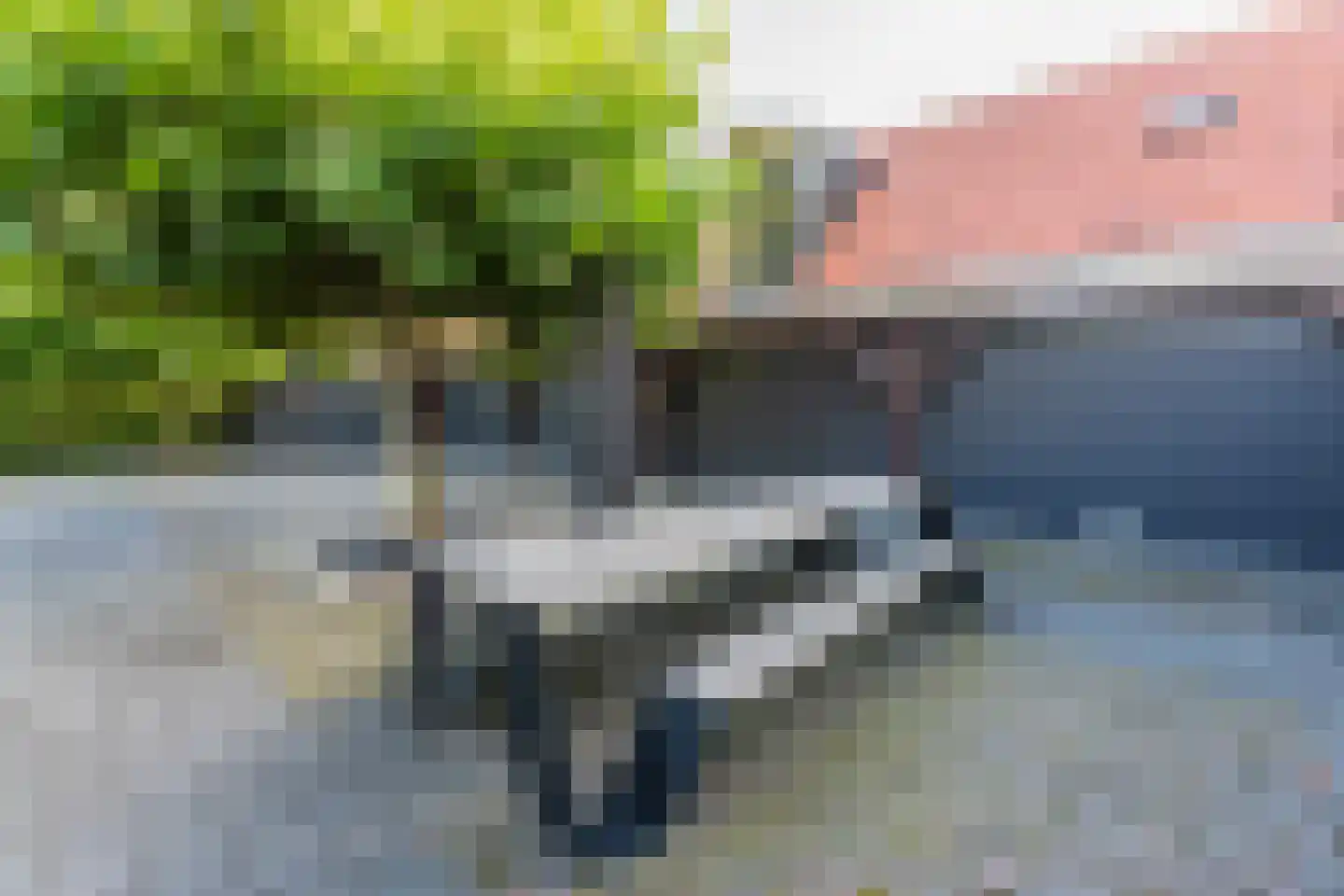 Abtswoude 42 Delft thumbnail 14