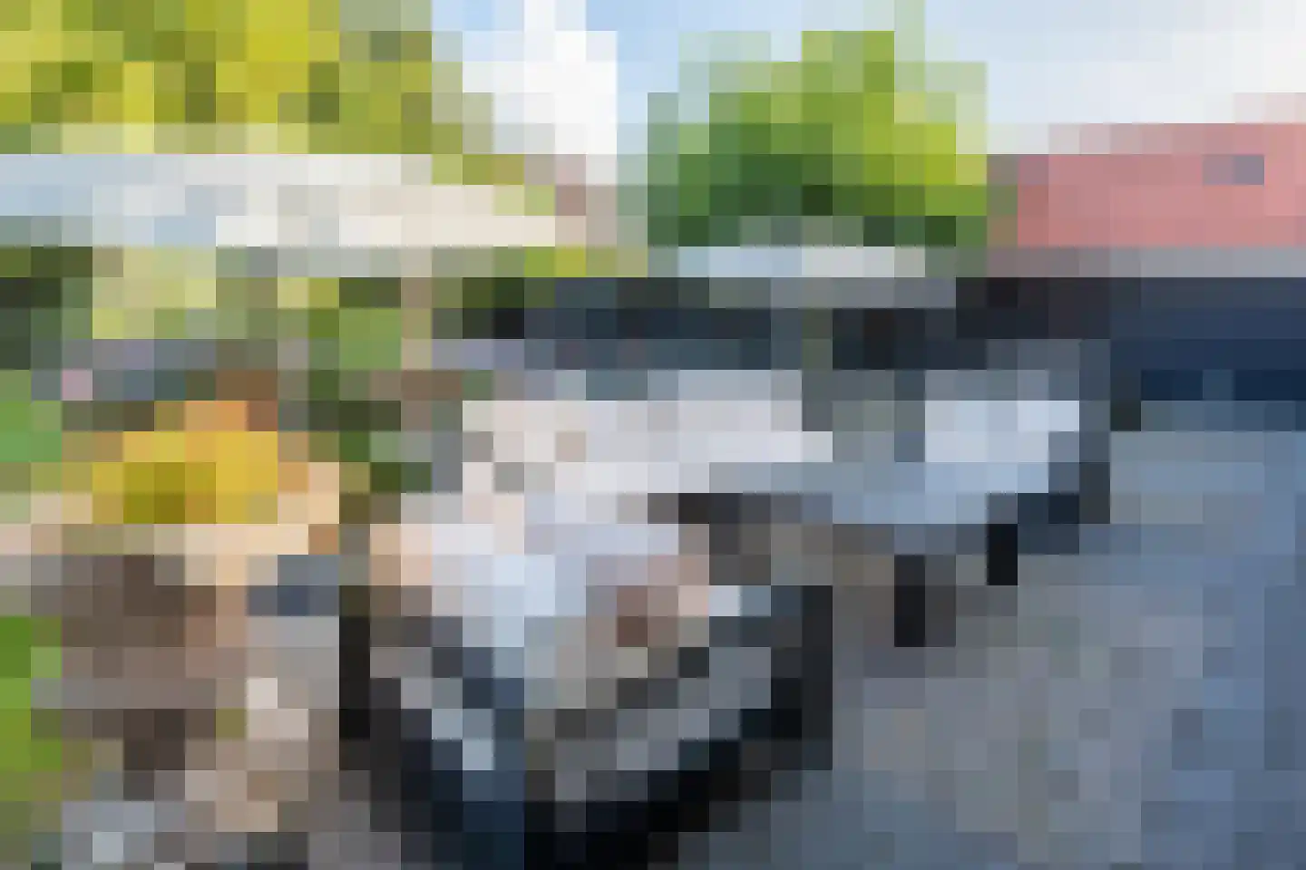 Abtswoude 42 Delft thumbnail 17