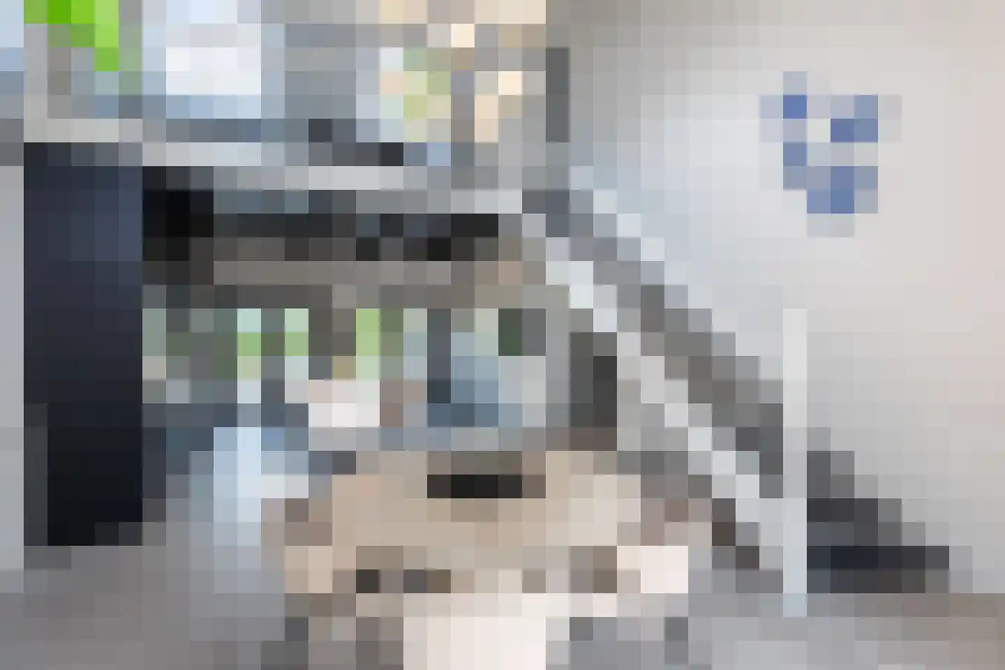 Abtswoude 42 Delft thumbnail 21