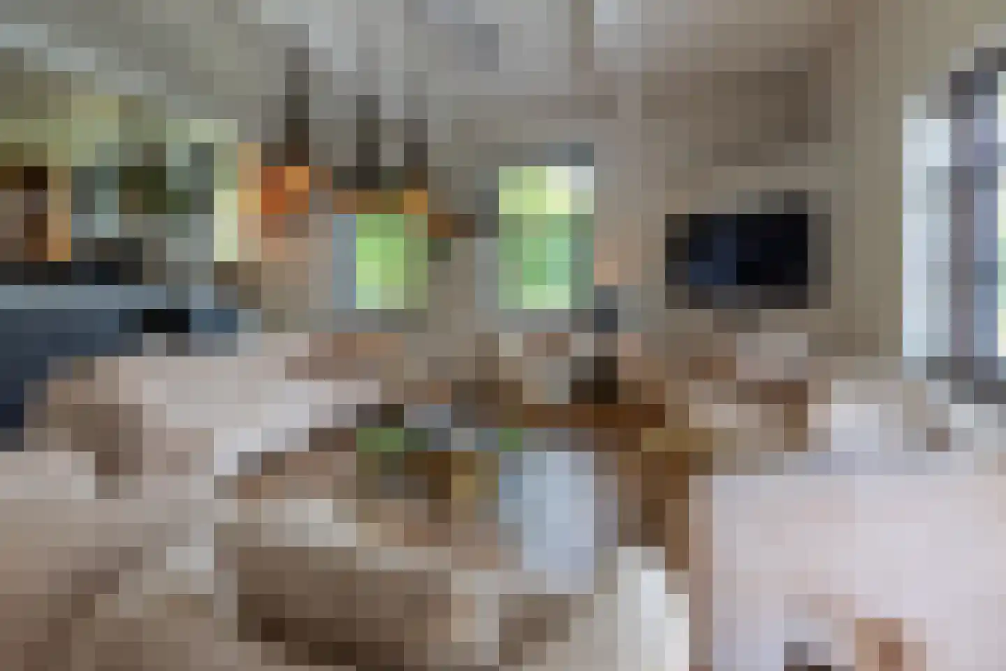 Abtswoude 42 Delft thumbnail 29