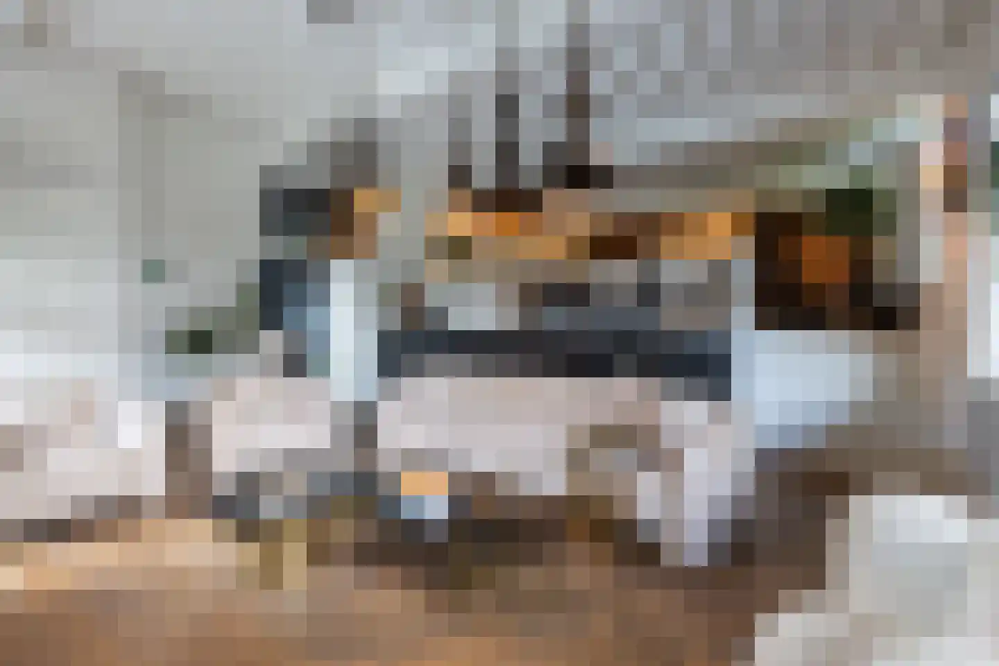 Abtswoude 42 Delft thumbnail 32