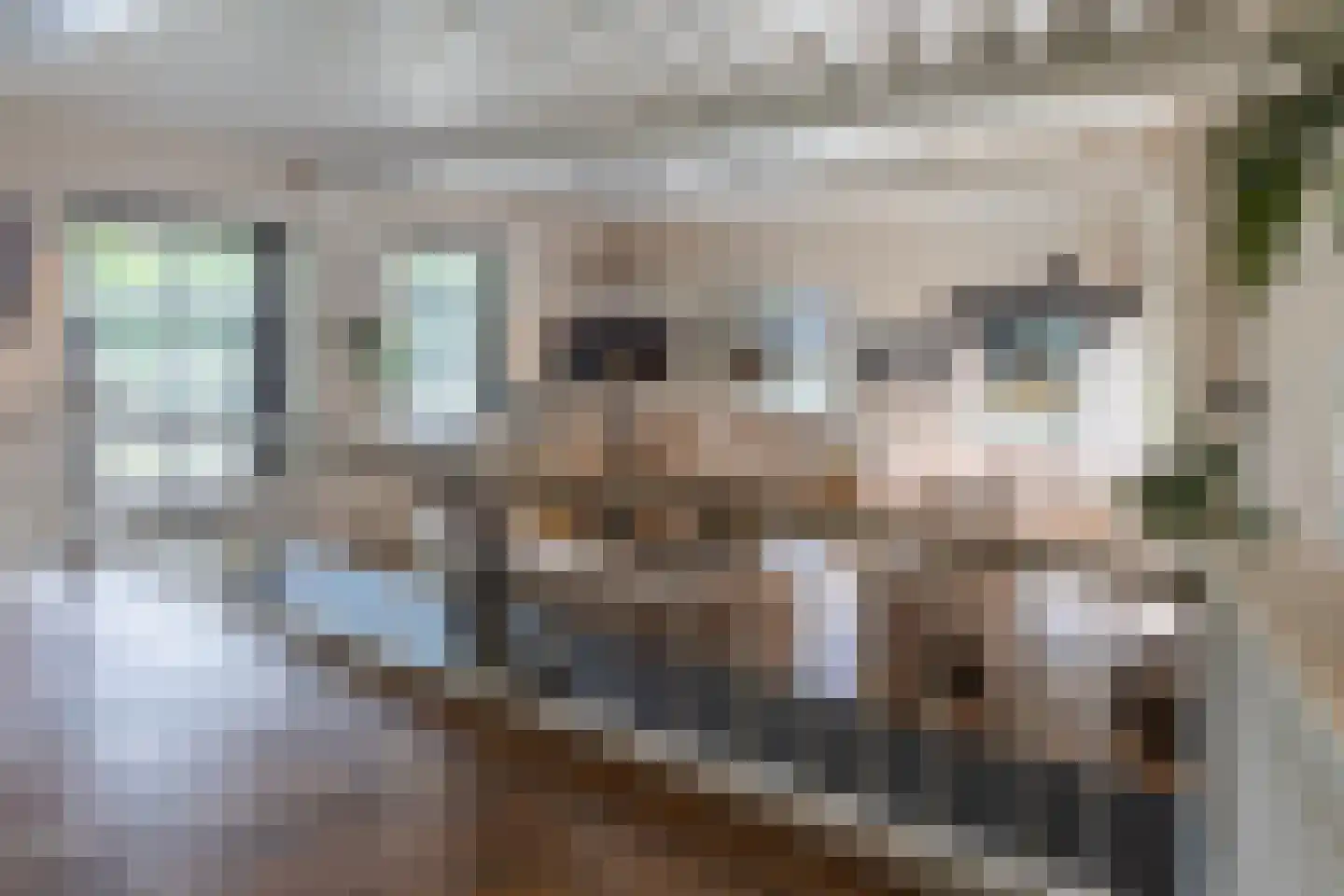 Abtswoude 42 Delft thumbnail 33