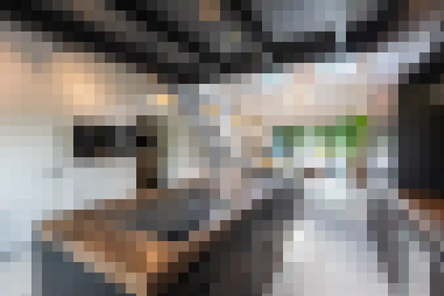 Abtswoude 42 Delft thumbnail 4