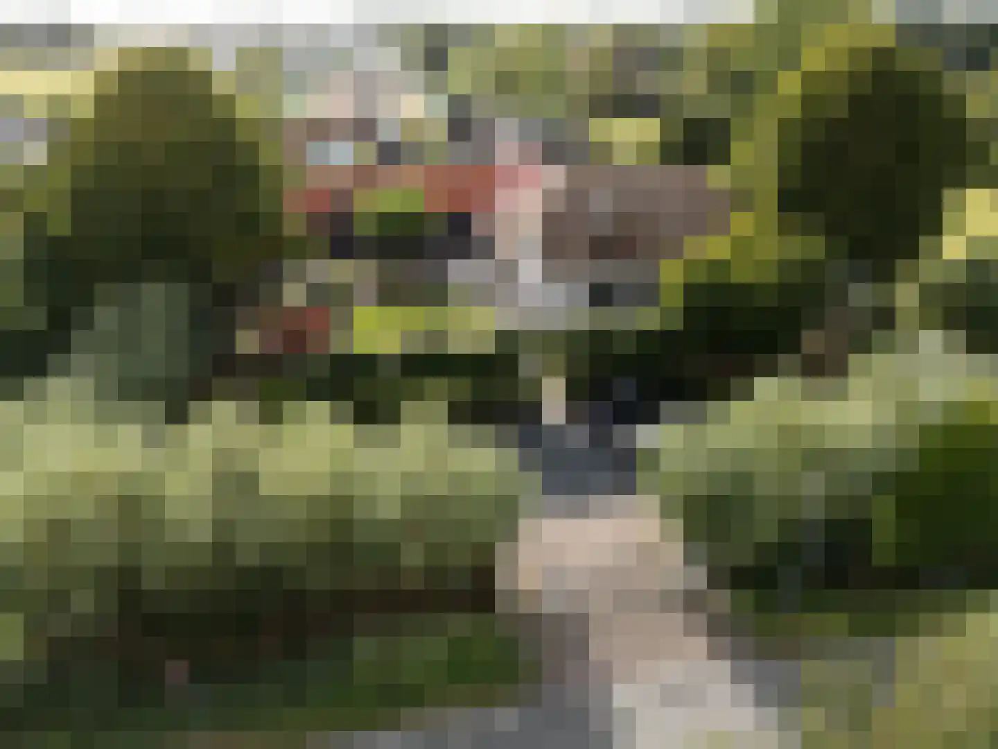 Abtswoude 42 Delft thumbnail 6