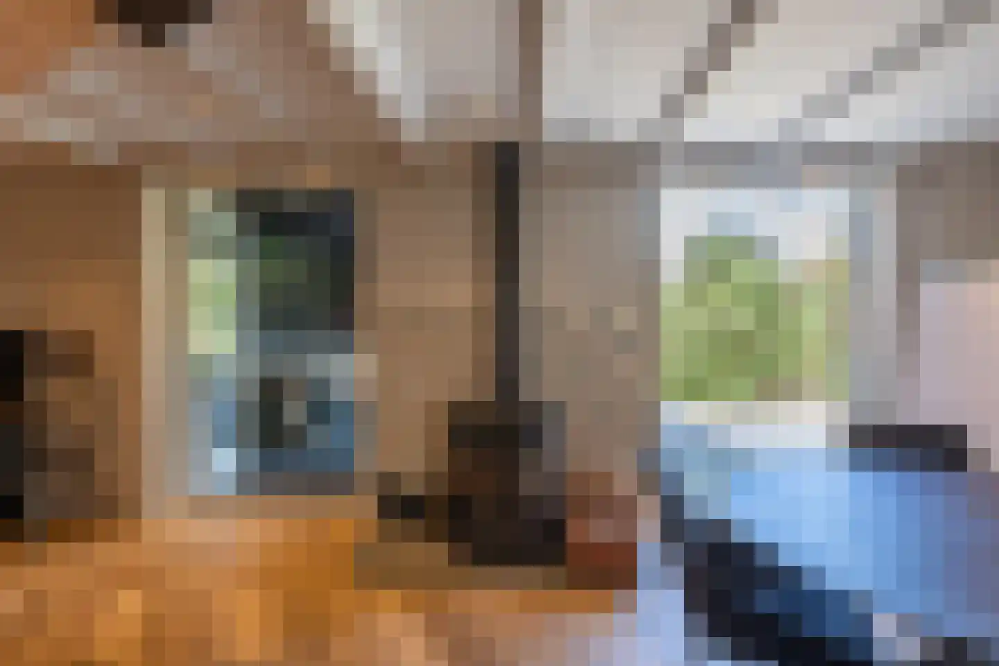 Abtswoude 42 Delft thumbnail 69