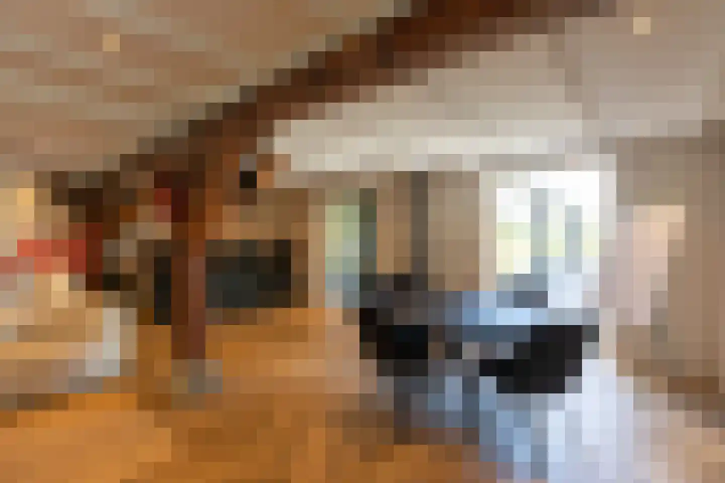 Abtswoude 42 Delft thumbnail 71