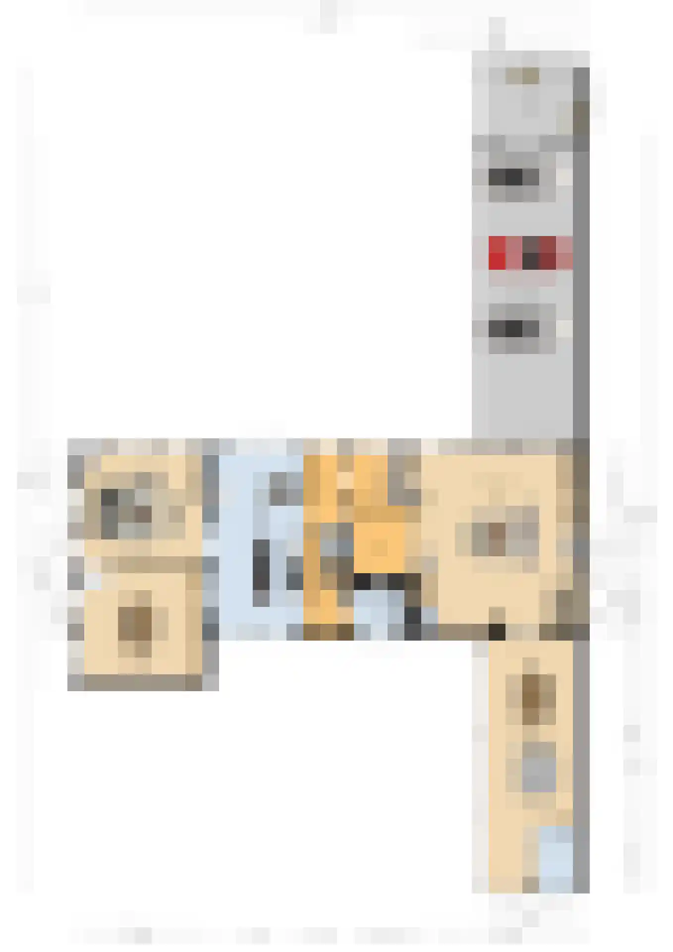 Abtswoude 42 Delft thumbnail 73