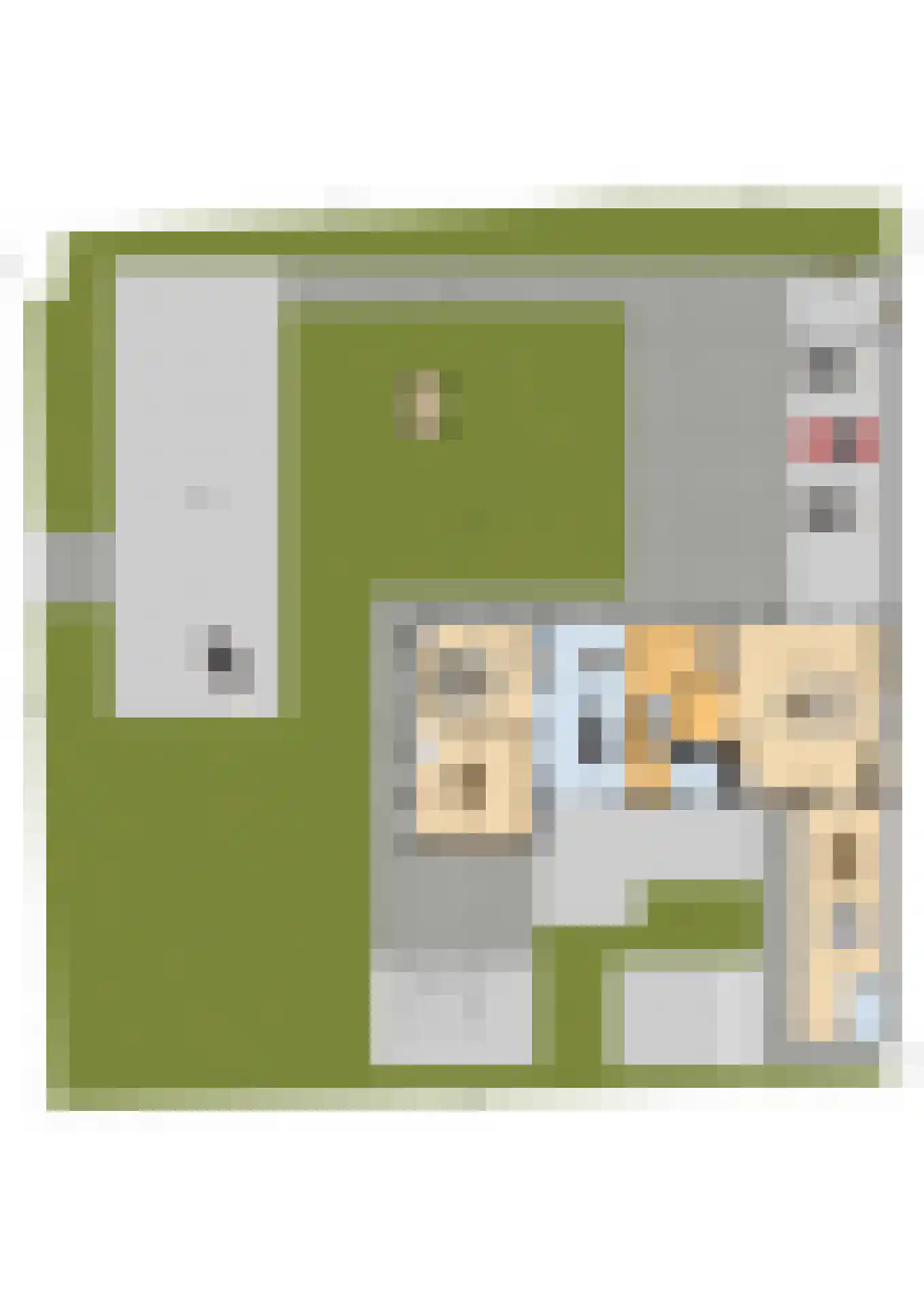 Abtswoude 42 Delft thumbnail 77