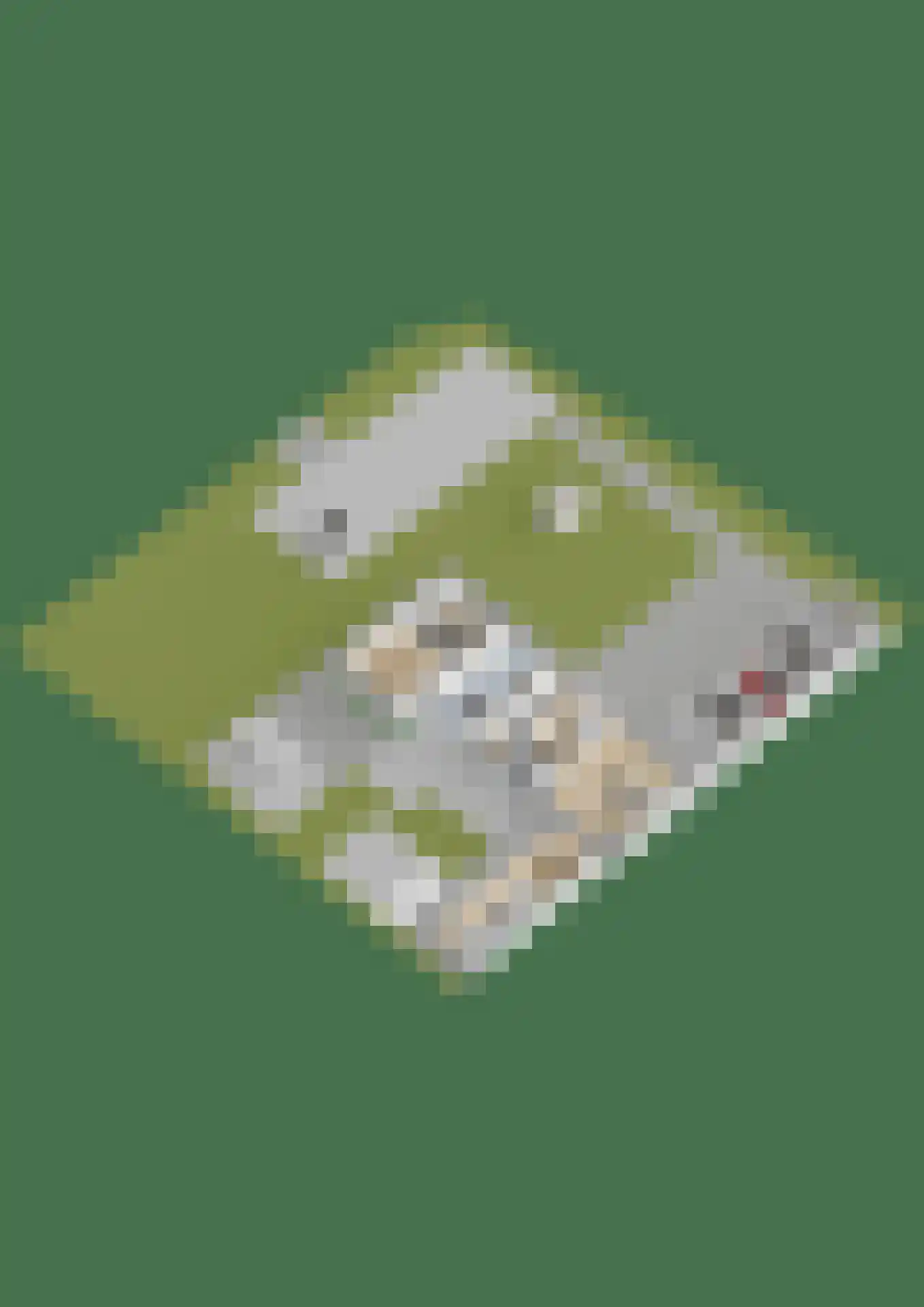 Abtswoude 42 Delft thumbnail 78