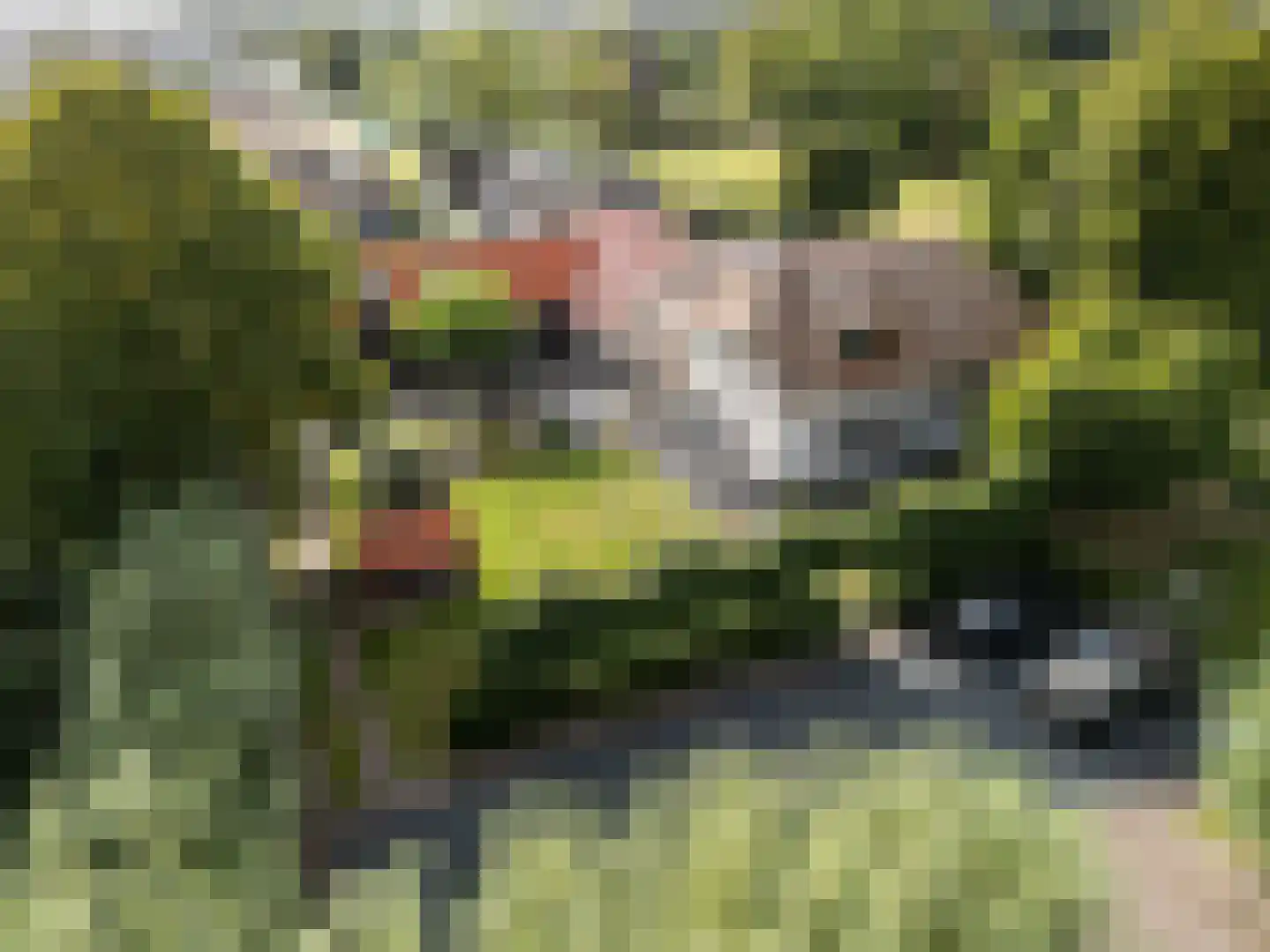 Abtswoude 42 Delft thumbnail 8