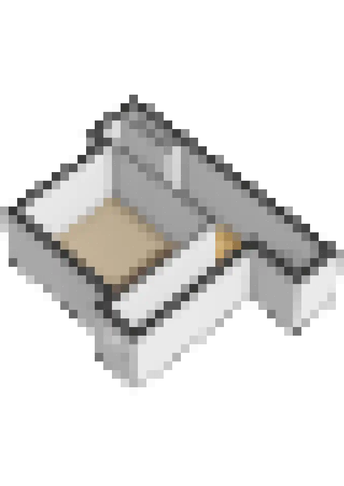 Abtswoude 42 Delft thumbnail 81