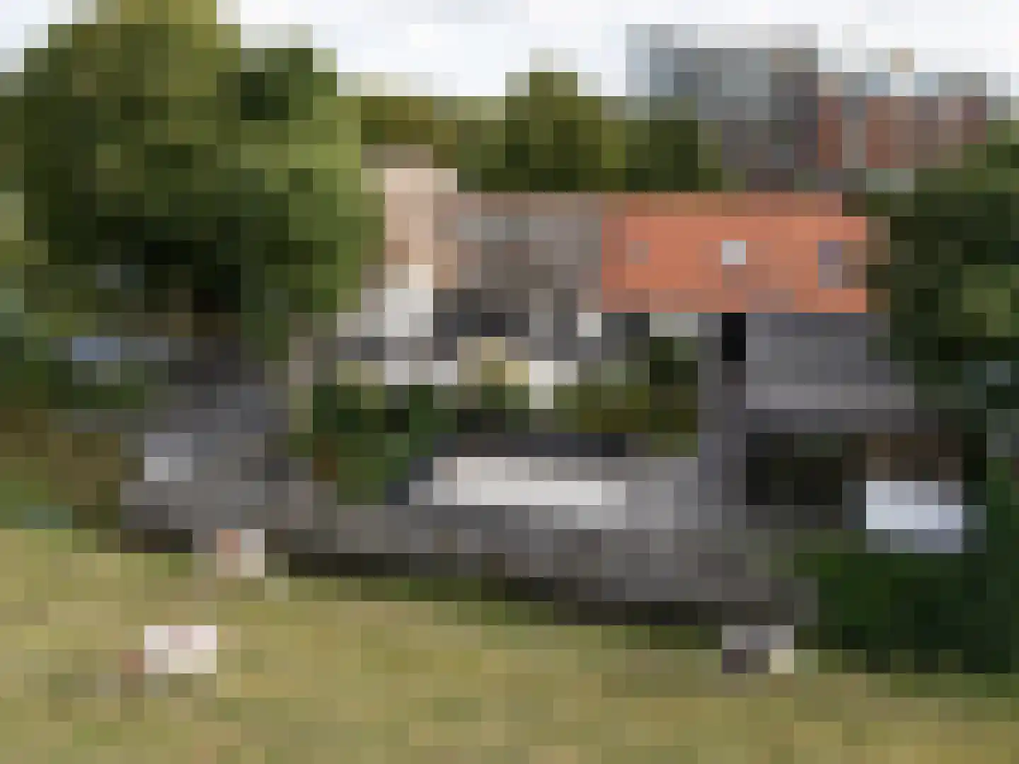 Abtswoude 42 Delft thumbnail 9