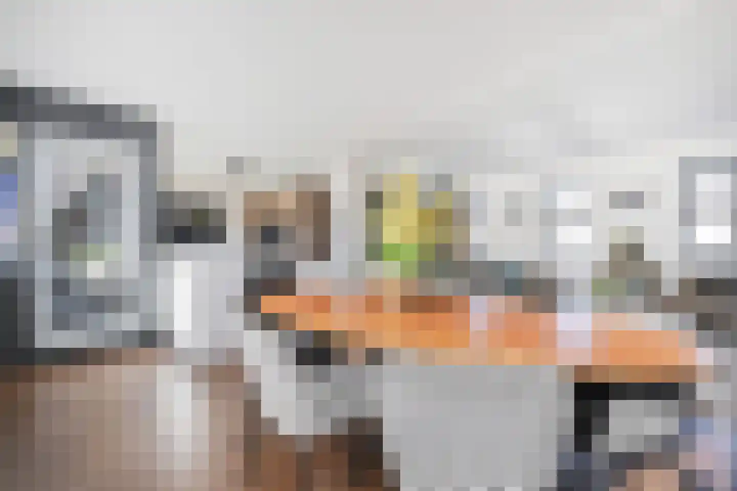 Aburahout 1 F Zoetermeer thumbnail 26