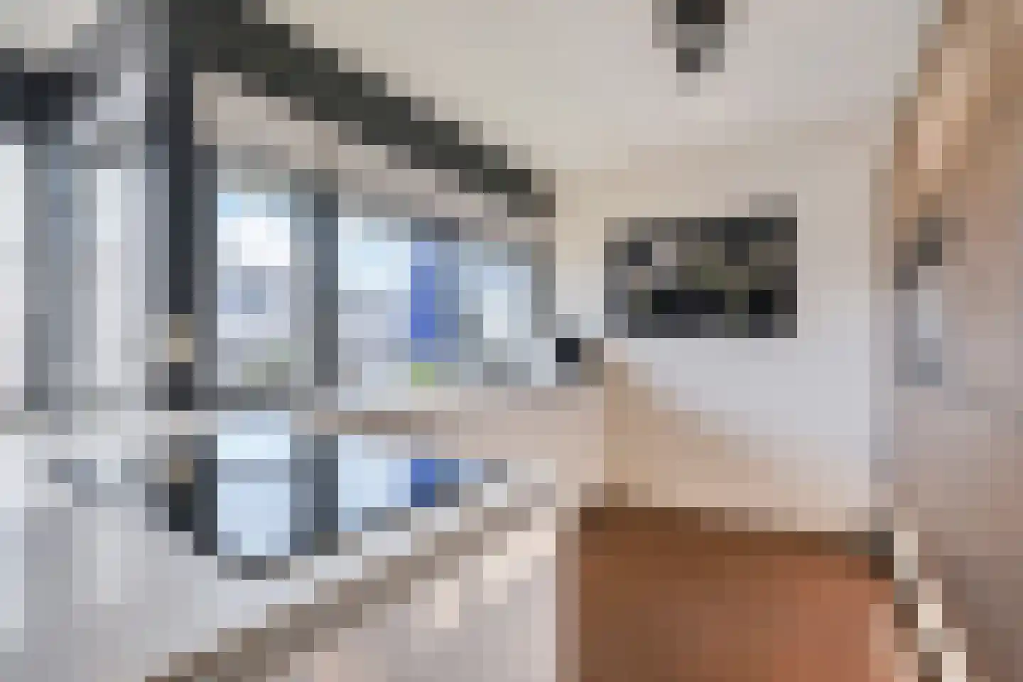 Aburahout 1 F Zoetermeer thumbnail 32