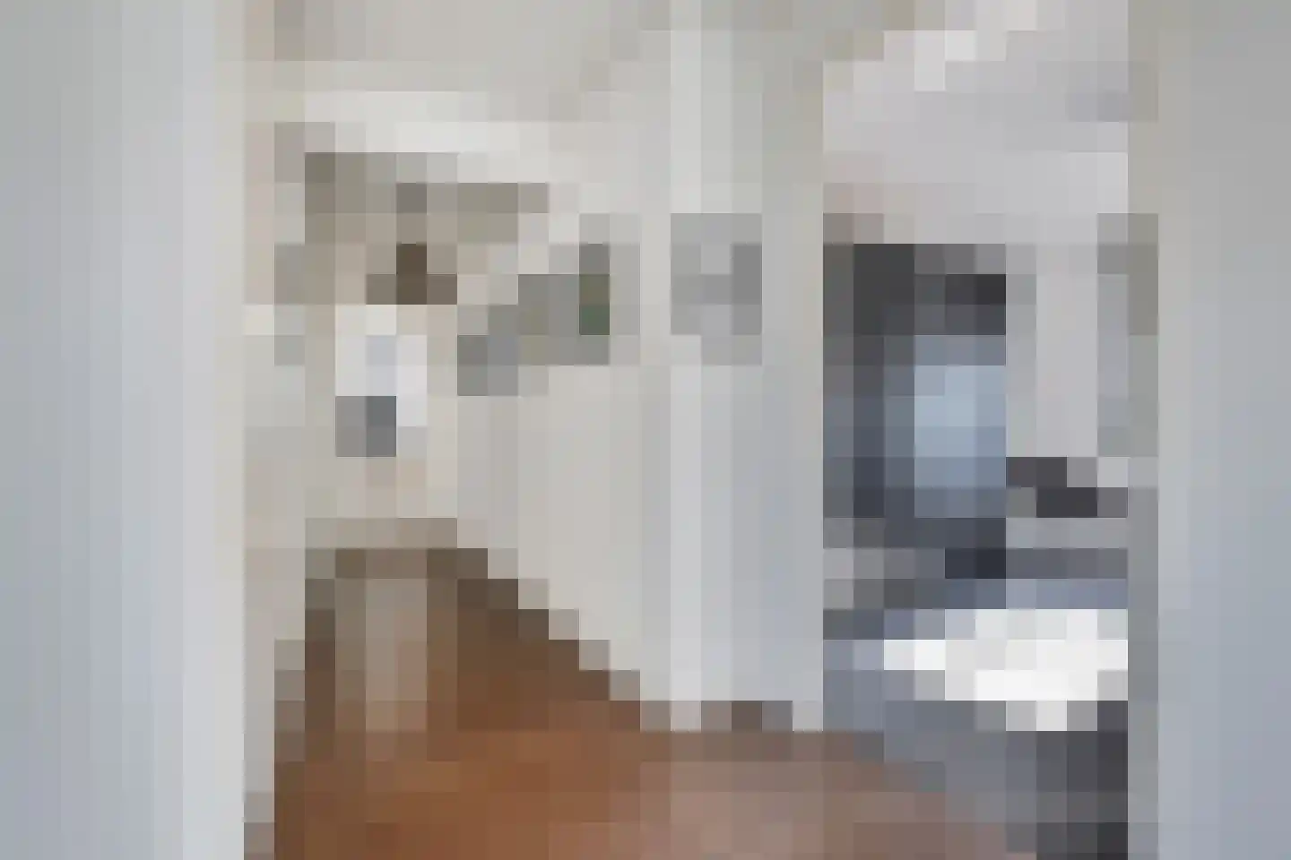 Aburahout 1 F Zoetermeer thumbnail 39