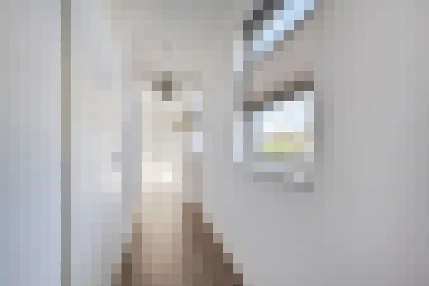 Aburahout 1 F Zoetermeer thumbnail 48