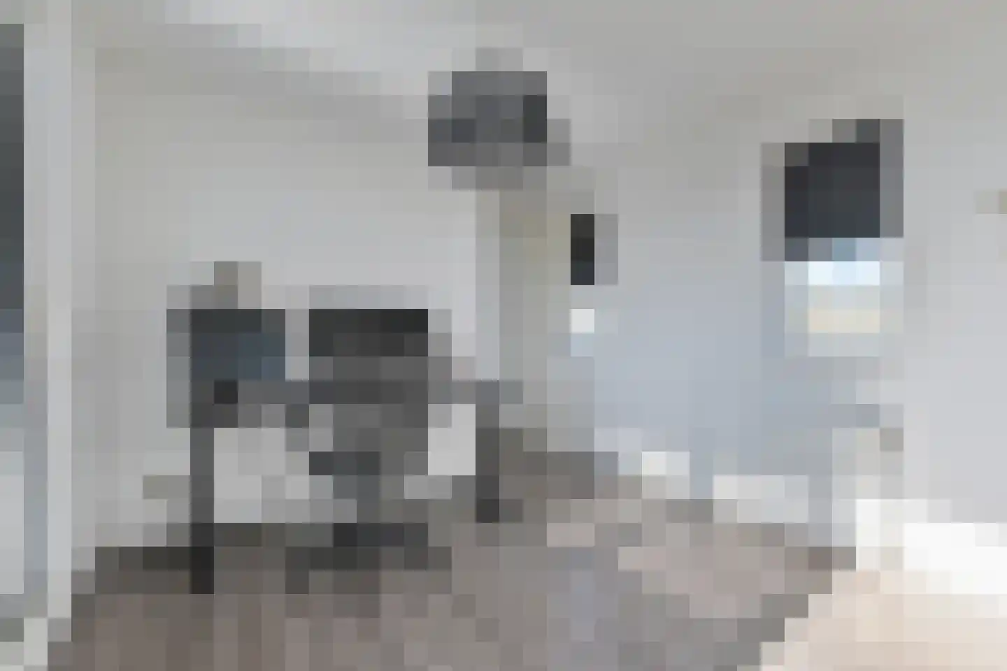 Aburahout 1 F Zoetermeer thumbnail 53