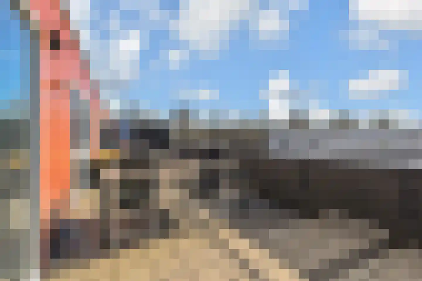 Aburahout 1 F Zoetermeer thumbnail 56