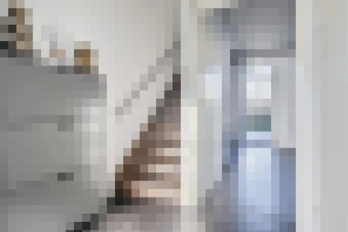 Aburahout 1 F Zoetermeer thumbnail 6
