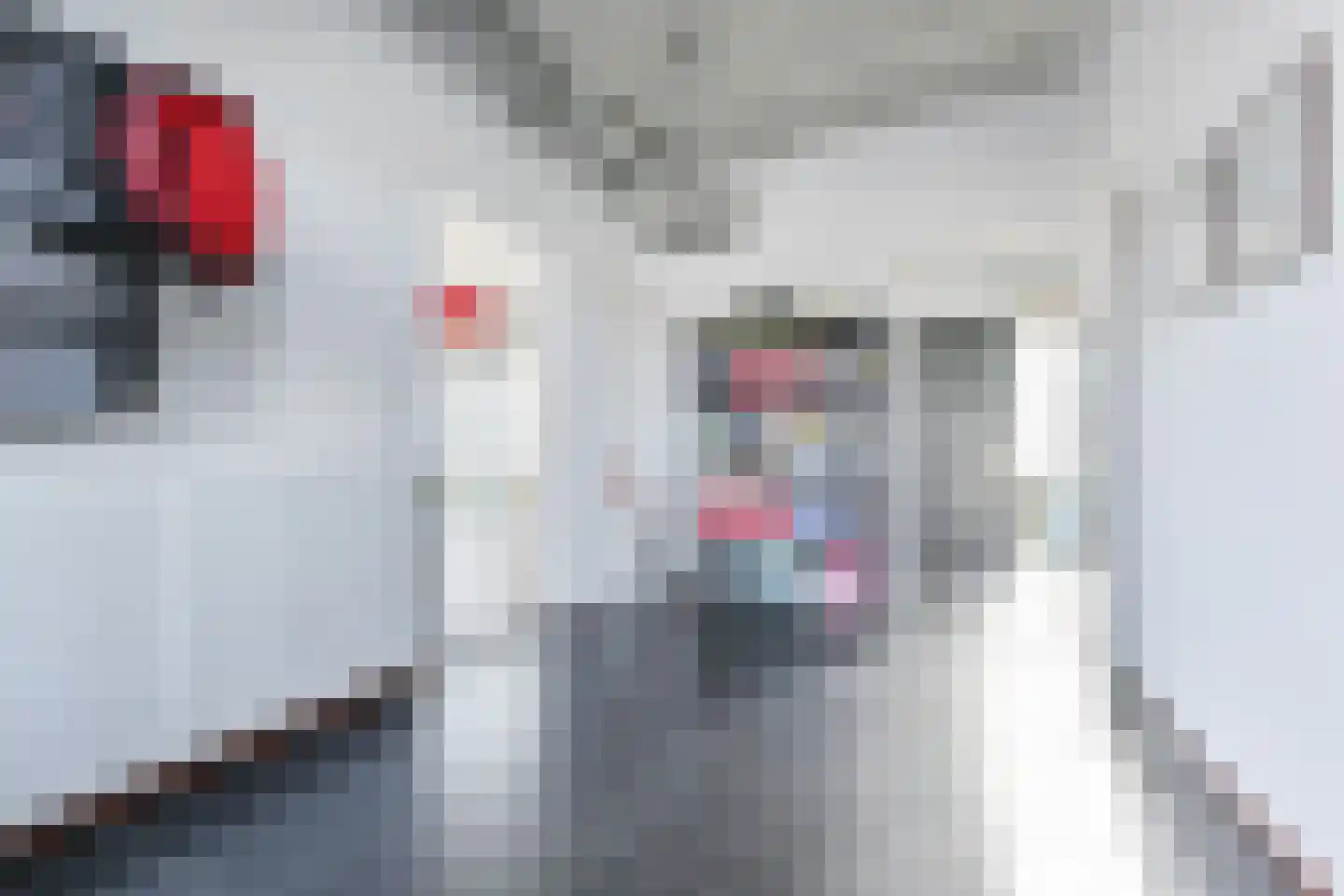 Aburahout 1 F Zoetermeer thumbnail 8