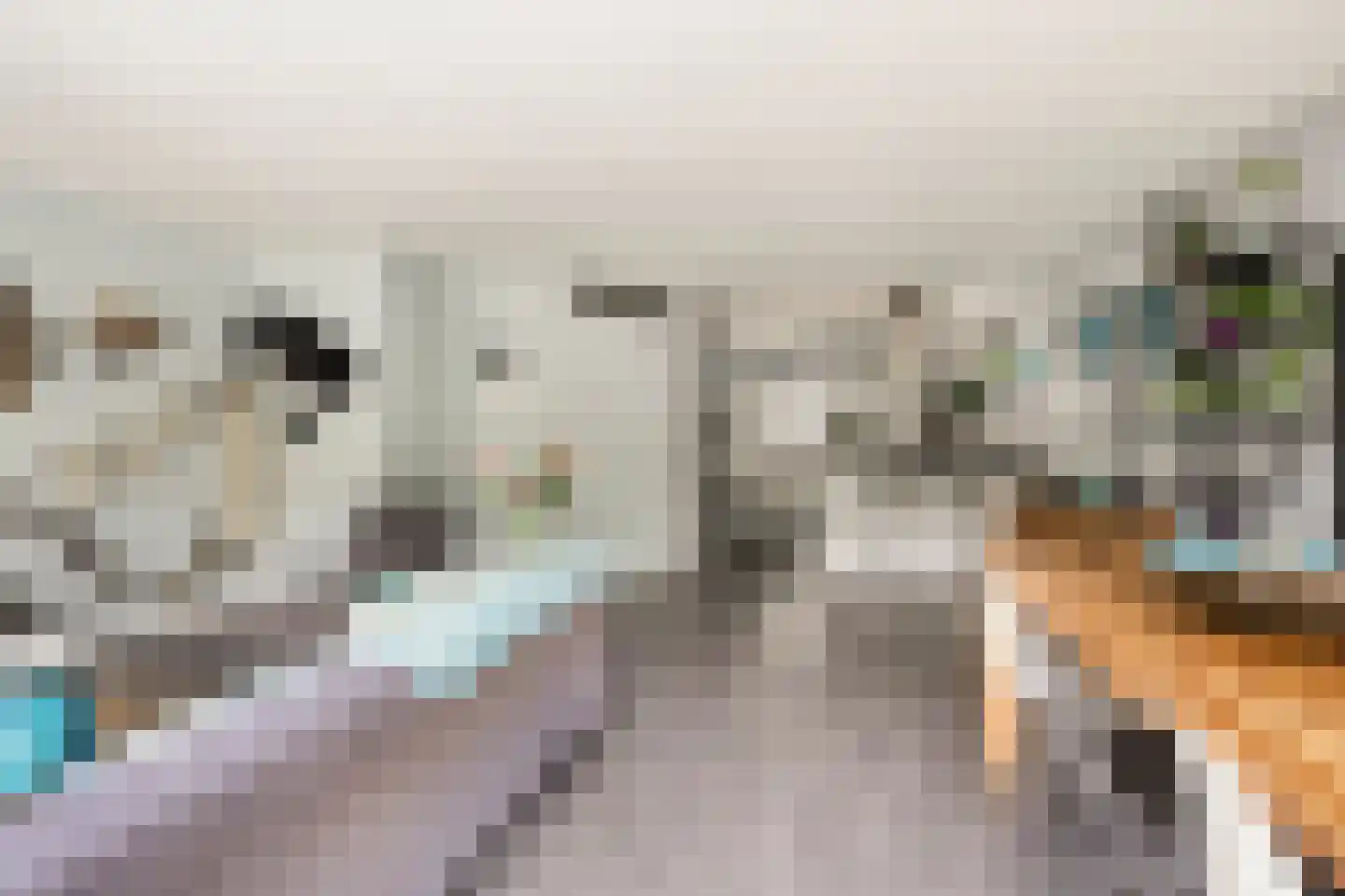 Aburahout 21 Zoetermeer thumbnail 12