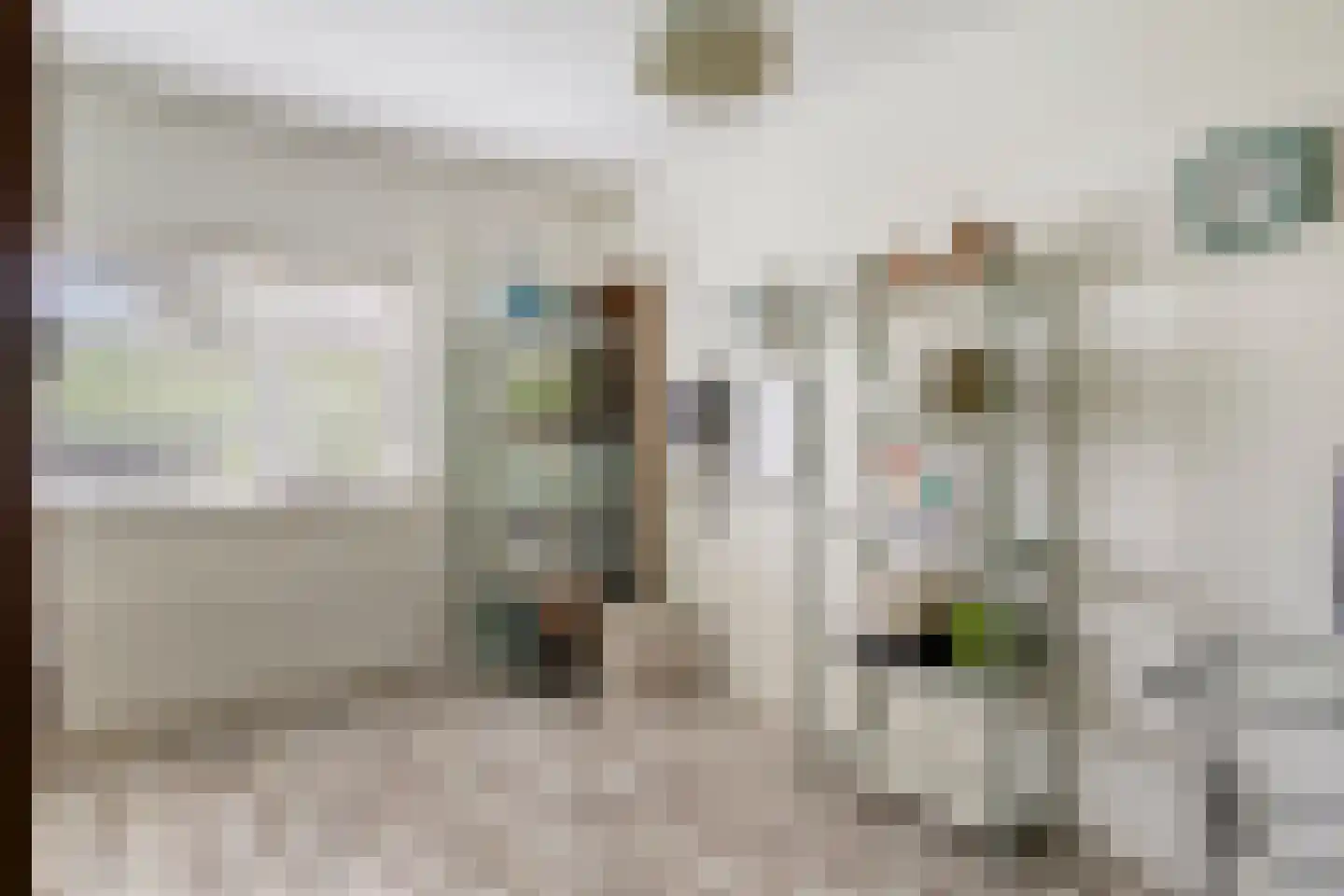 Aburahout 21 Zoetermeer thumbnail 20