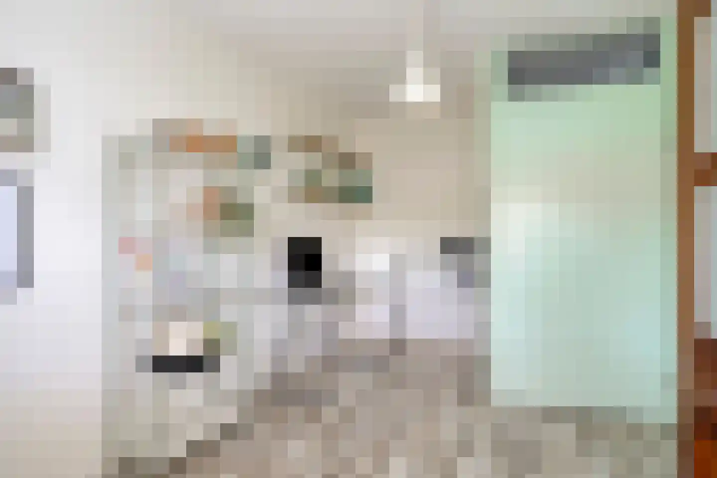 Aburahout 21 Zoetermeer thumbnail 21