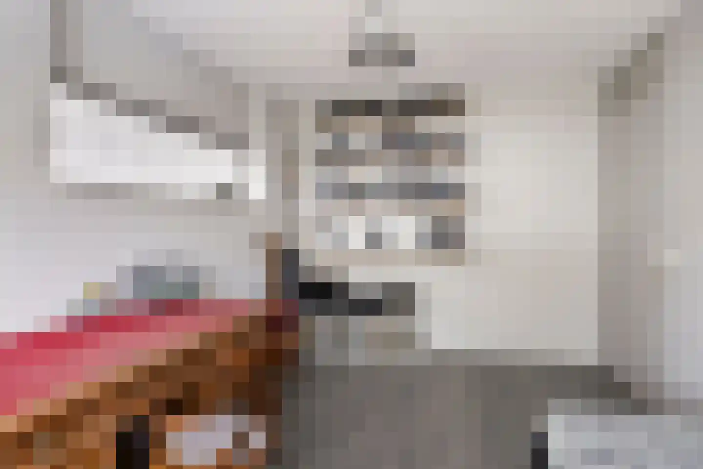 Aburahout 21 Zoetermeer thumbnail 25