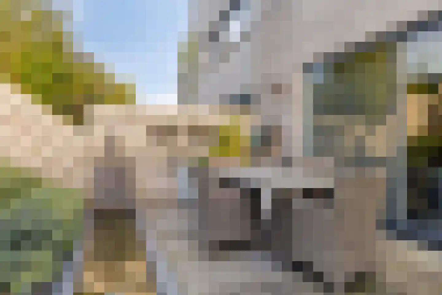 Aburahout 21 Zoetermeer thumbnail 32