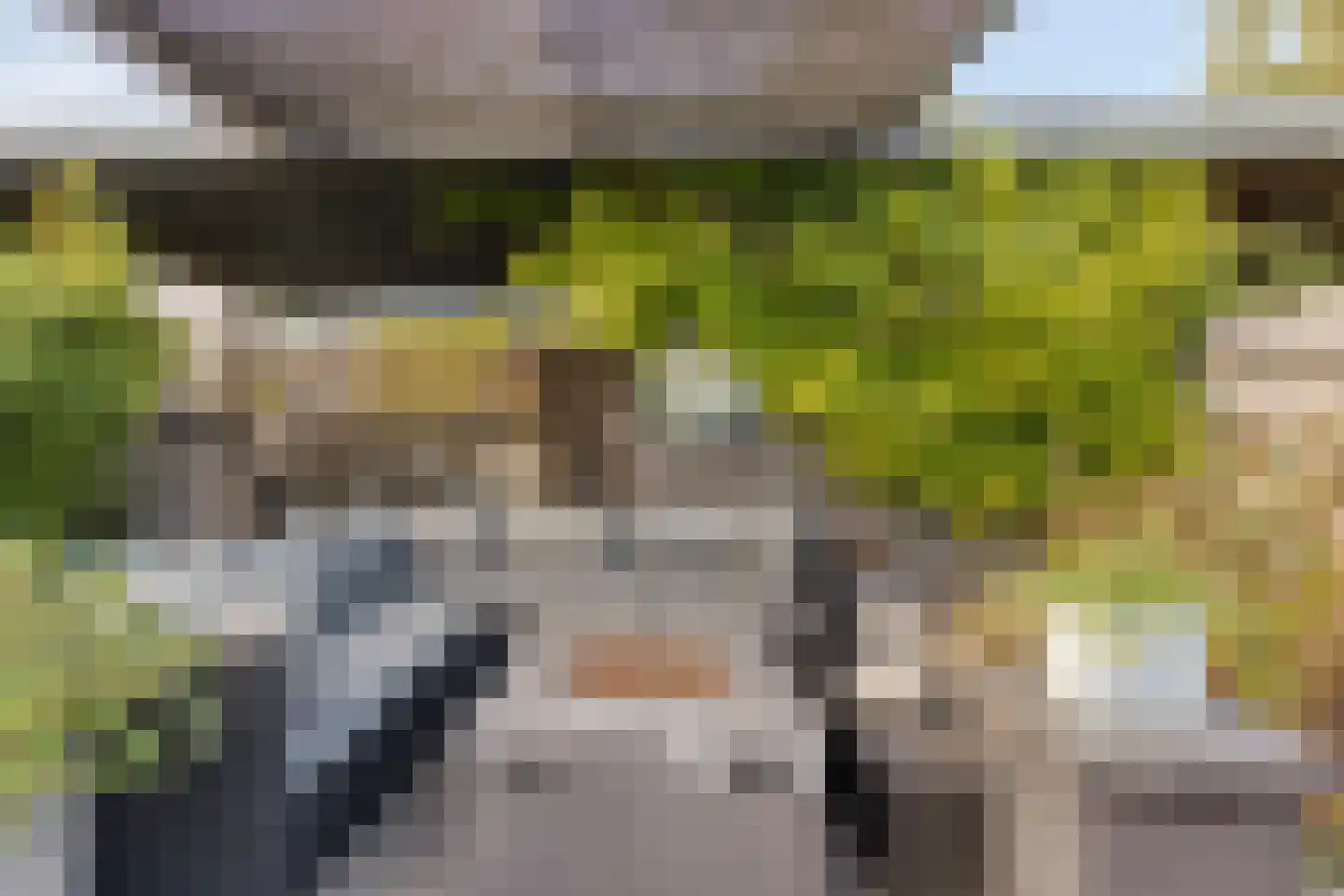 Aburahout 21 Zoetermeer thumbnail 33