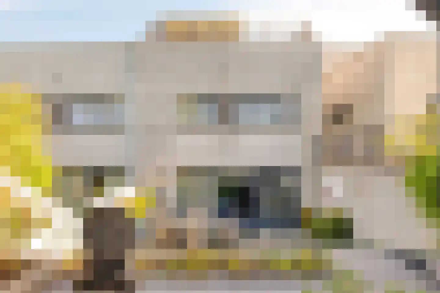 Aburahout 21 Zoetermeer thumbnail 36
