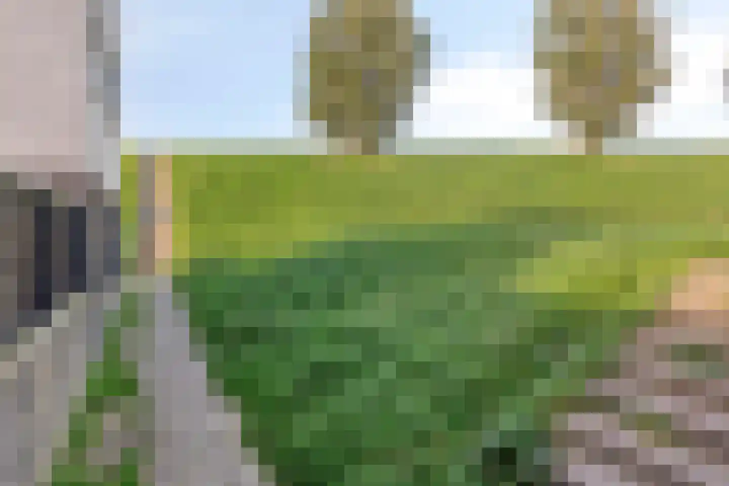 Aburahout 21 Zoetermeer thumbnail 38