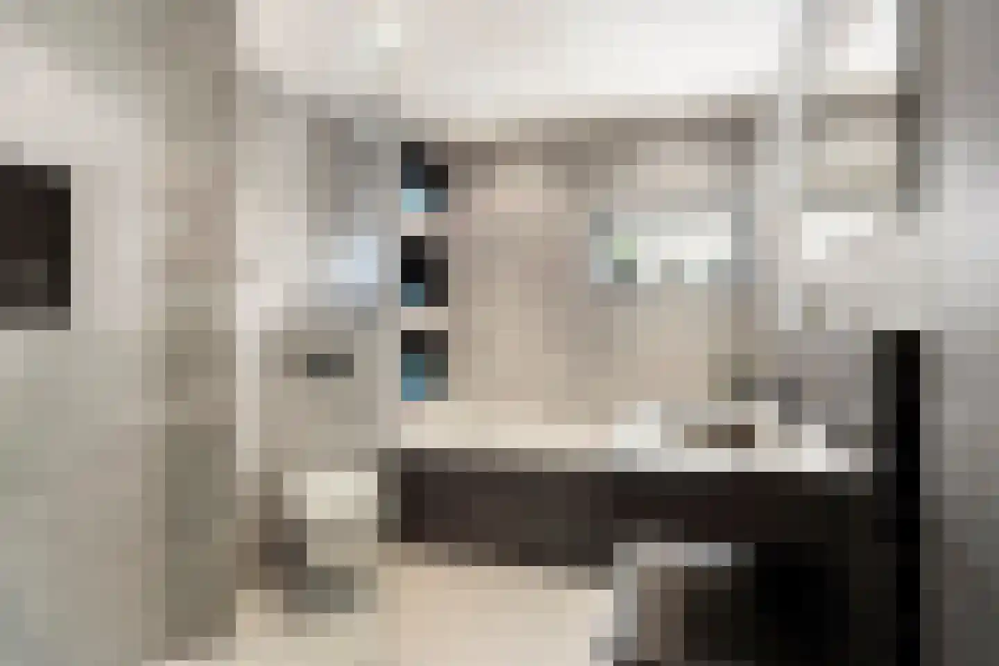 Aburahout 21 Zoetermeer thumbnail 5