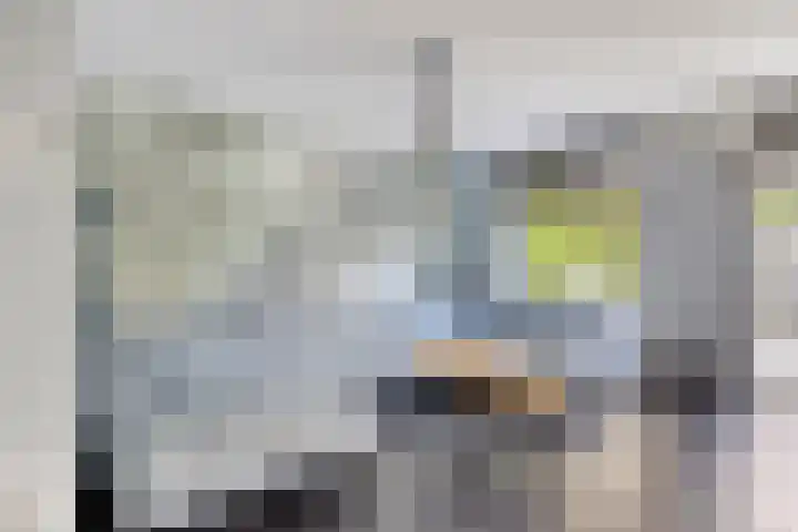 Aburahout 26 Zoetermeer thumbnail 10