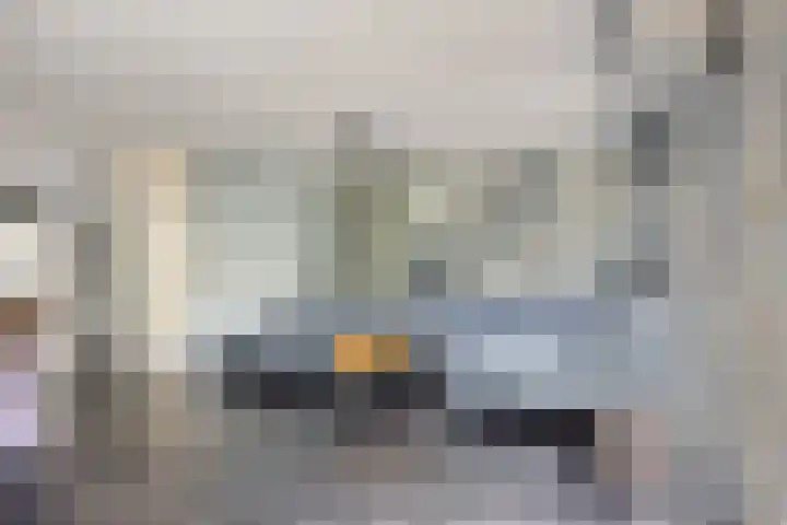 Aburahout 26 Zoetermeer thumbnail 11