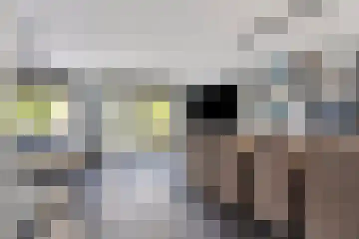 Aburahout 26 Zoetermeer thumbnail 12