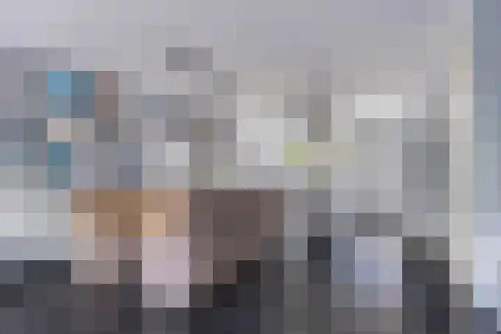 Aburahout 26 Zoetermeer thumbnail 13