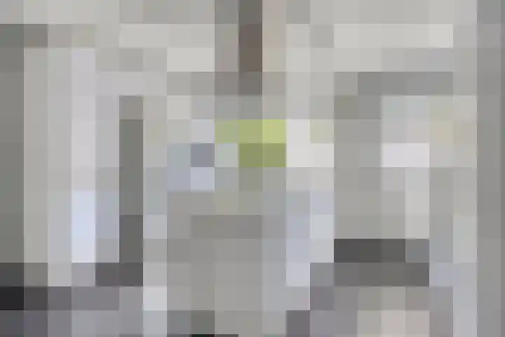 Aburahout 26 Zoetermeer thumbnail 14