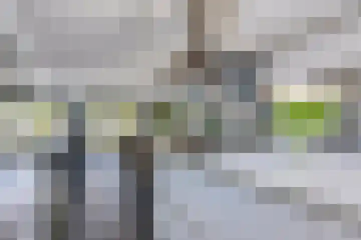 Aburahout 26 Zoetermeer thumbnail 15