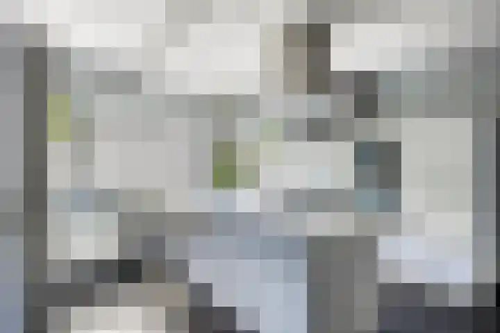 Aburahout 26 Zoetermeer thumbnail 16